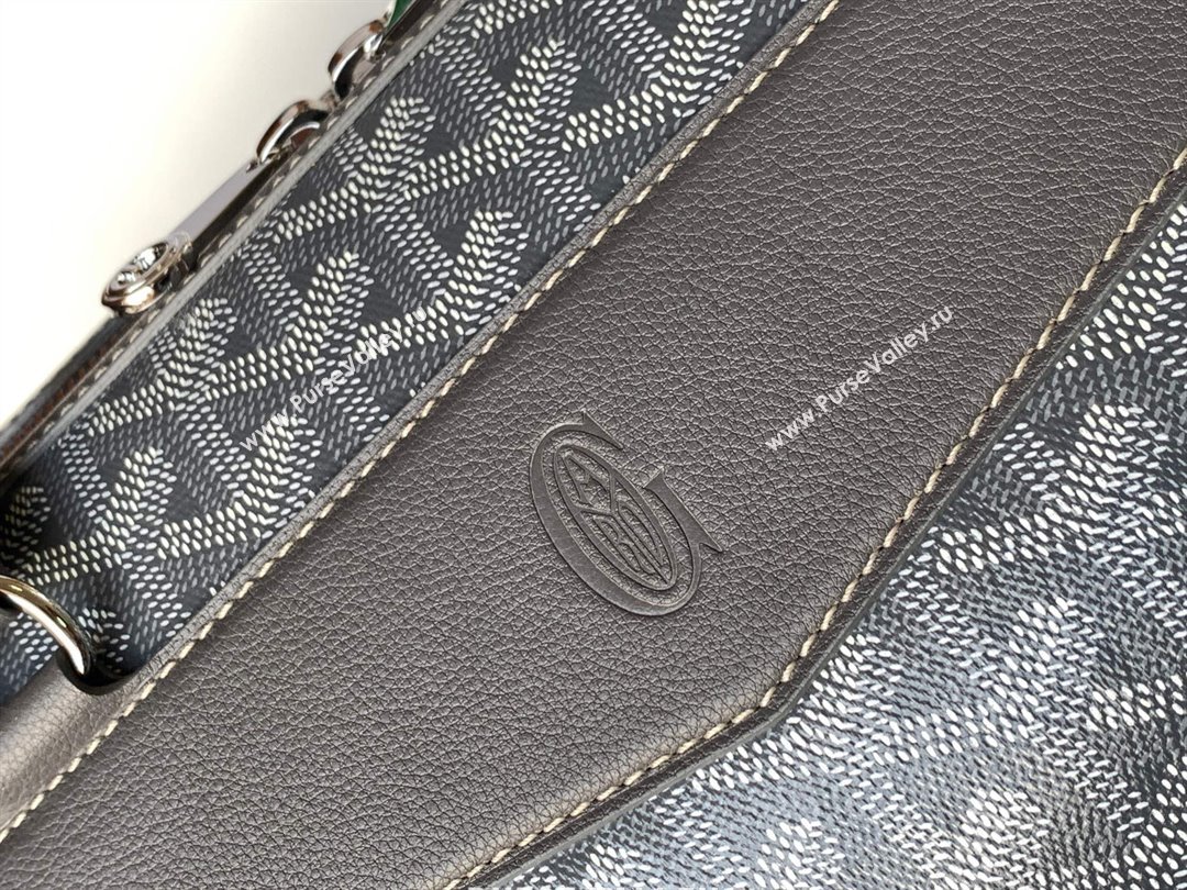 GOYARD CISALPIN document case gray 2024 (zhang-240105-01)