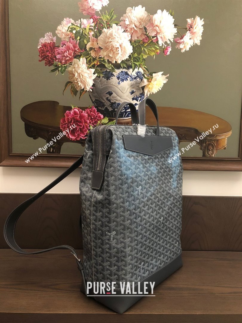 GOYARD CISALPIN BACKPACK gray 2024 (laimeng-240105-03)