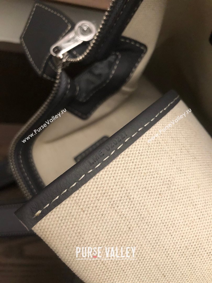 GOYARD CISALPIN BACKPACK gray 2024 (laimeng-240105-03)