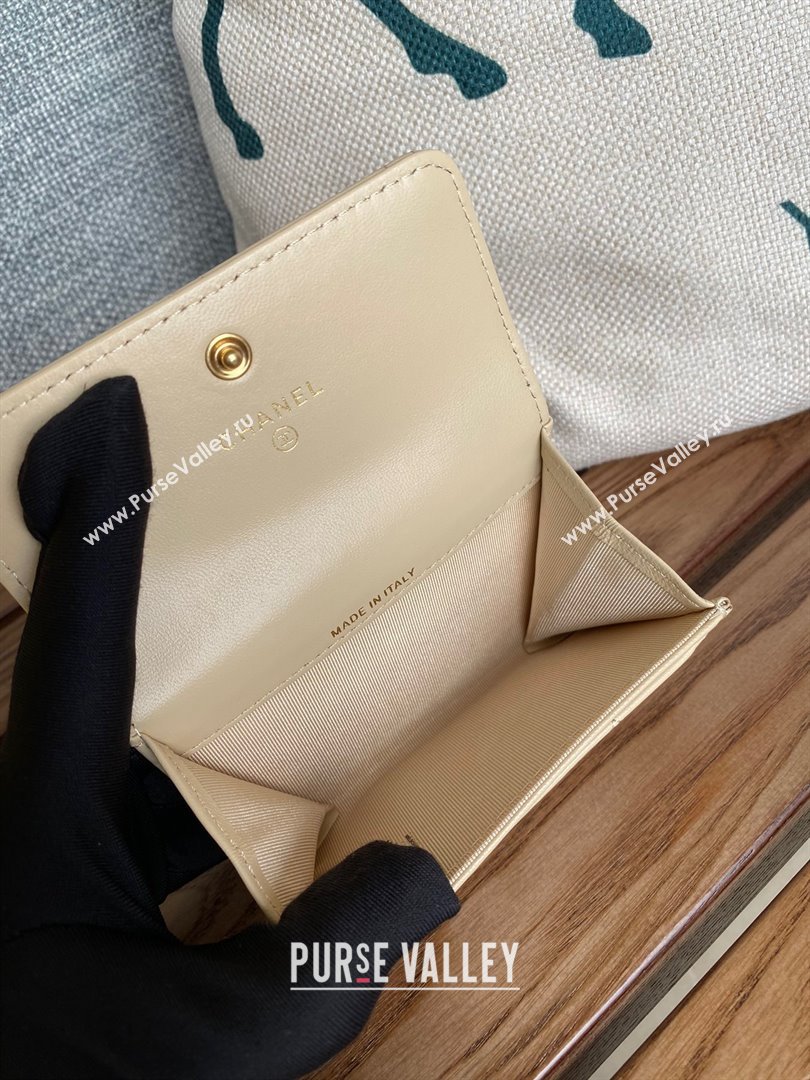 CHANEL 19 Flap Card Holder in lambskin AP1790 BEIGE 2023 (yongsheng-231124-01)