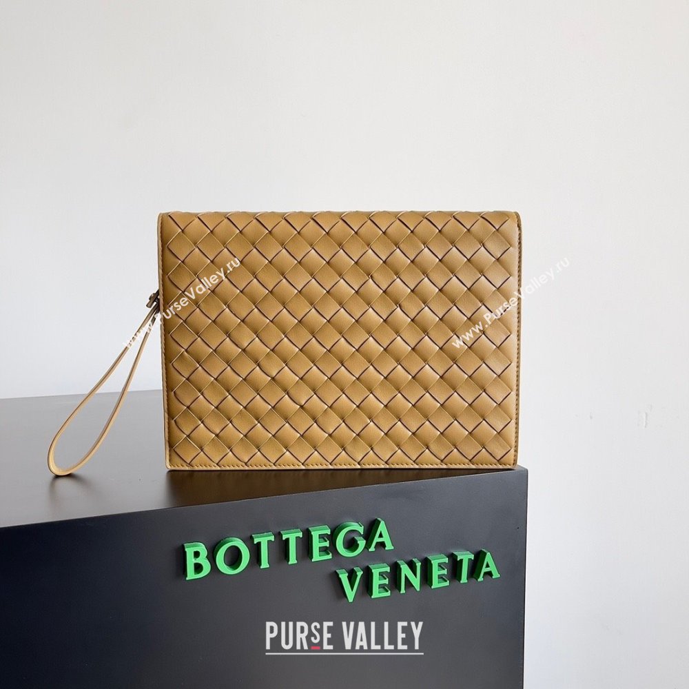 Bottega Veneta Small intrecciato leather document case With Wristlet ACORN 2023 (misu-23110214)