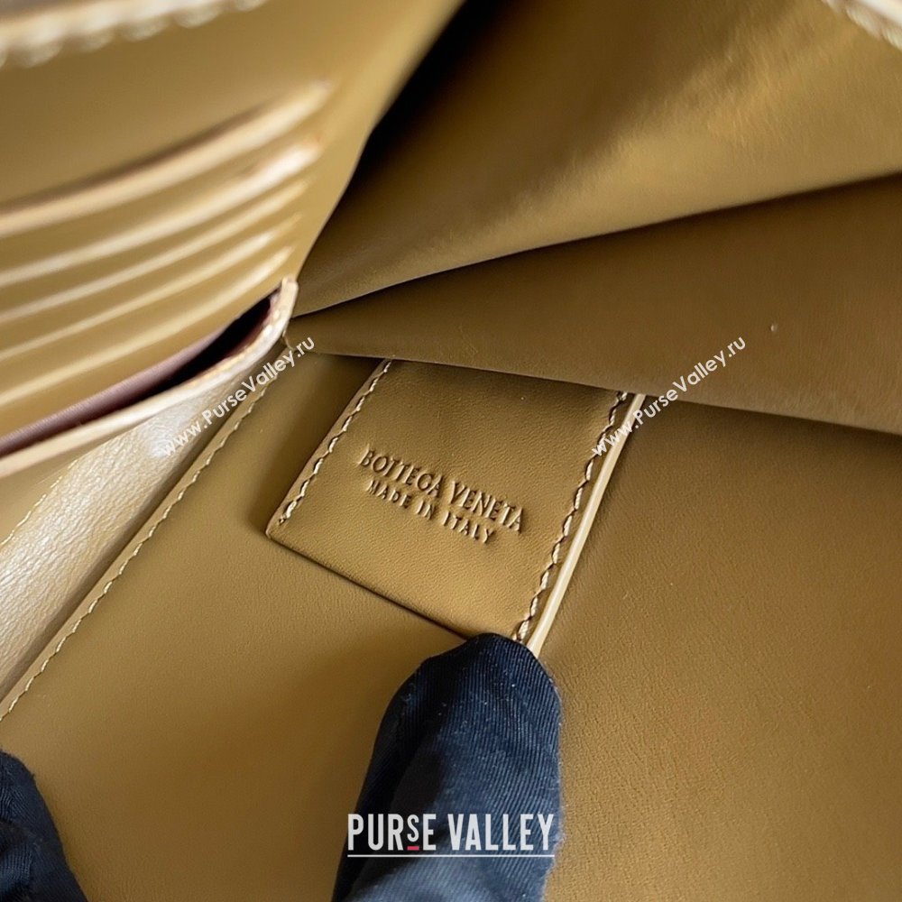 Bottega Veneta Small intrecciato leather document case With Wristlet ACORN 2023 (misu-23110214)