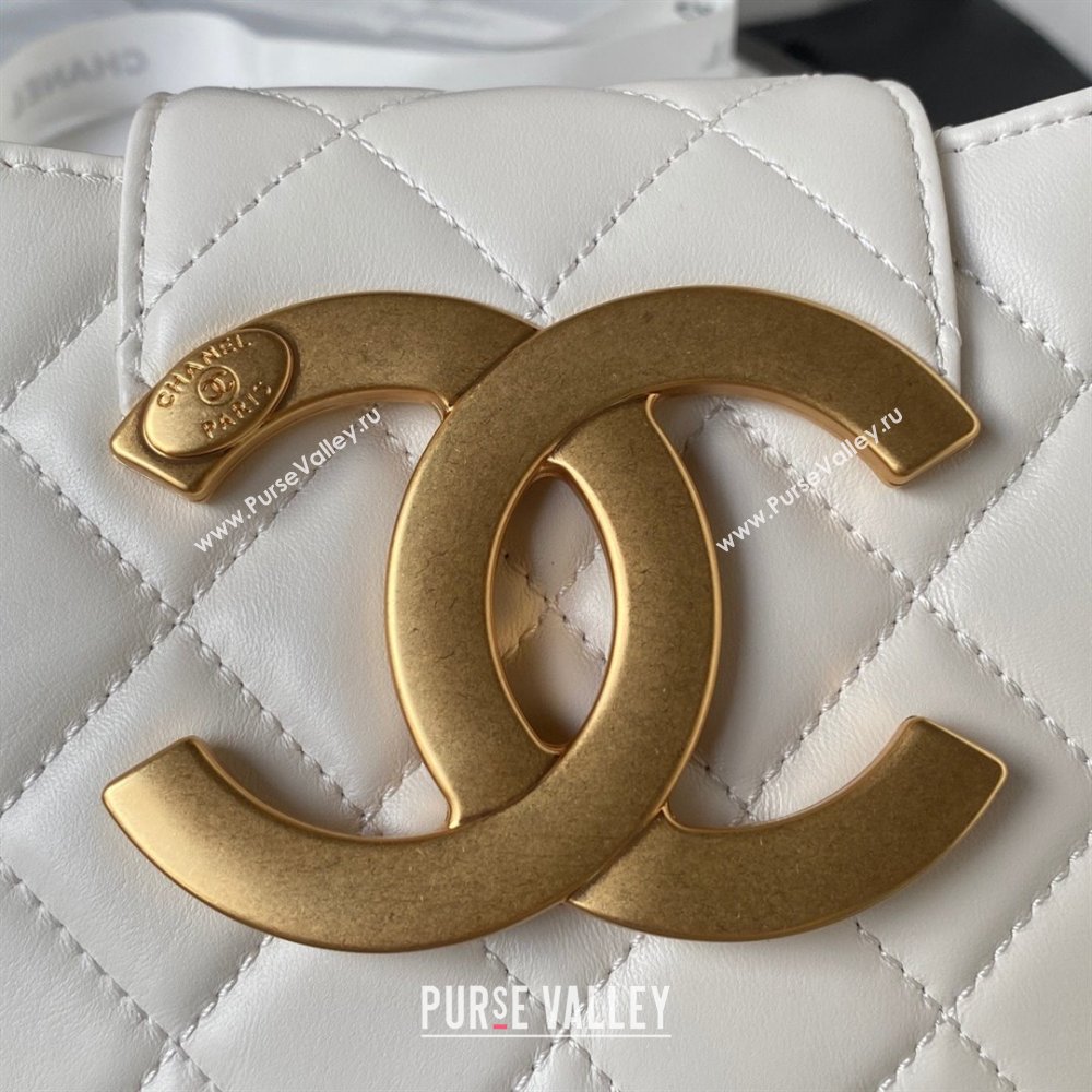 Chanel Lambskin & Gold-Tone Metal Small Messenger Bag AS4609 white 2024 (jiyuan-231128-03)