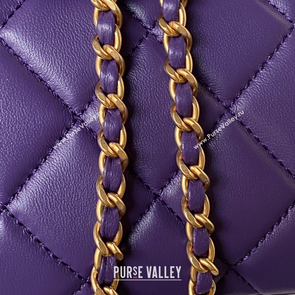 Chanel Lambskin & Gold-Tone Metal Baguette Bag AS4611 purple 2024 (jiyuan-231127-01)