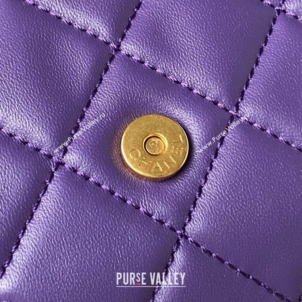 Chanel Lambskin & Gold-Tone Metal Baguette Bag AS4611 purple 2024 (jiyuan-231127-01)