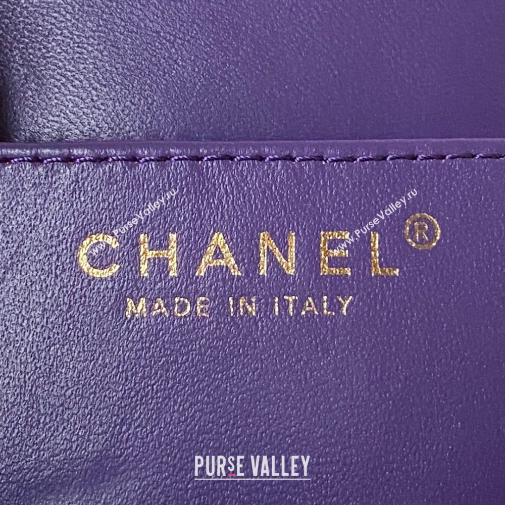 Chanel Lambskin & Gold-Tone Metal Baguette Bag AS4611 purple 2024 (jiyuan-231127-01)