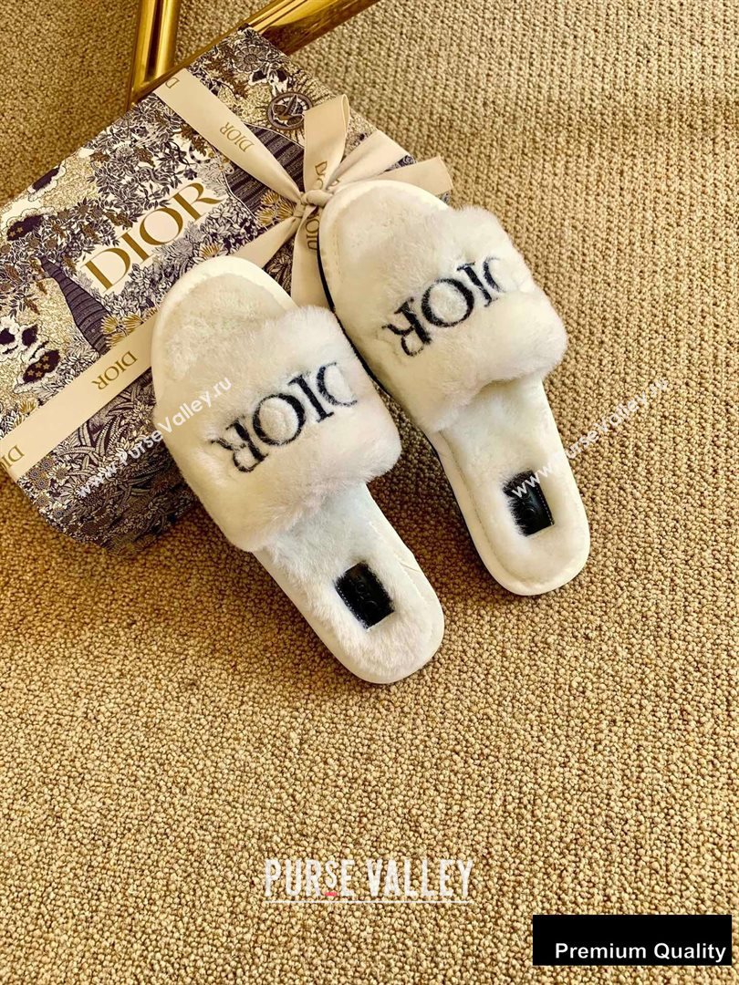 Dior Logo Shearling Slides Mules White/Black 2020 (lirenfang-20082607)