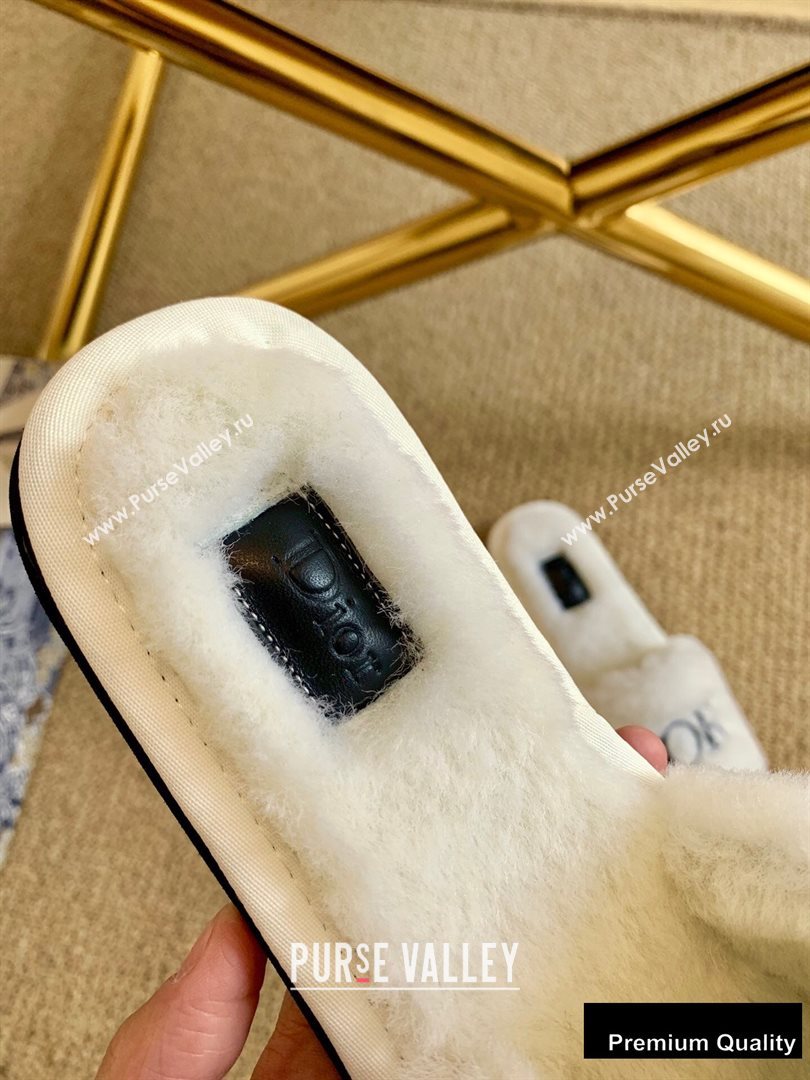 Dior Logo Shearling Slides Mules White/Black 2020 (lirenfang-20082607)