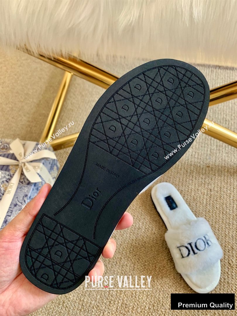 Dior Logo Shearling Slides Mules White/Black 2020 (lirenfang-20082607)