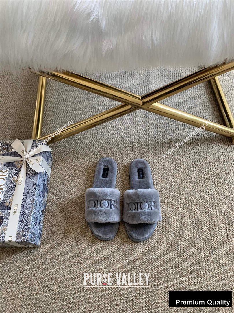 Dior Logo Shearling Slides Mules Gray 2020 (lirenfang-20082604)