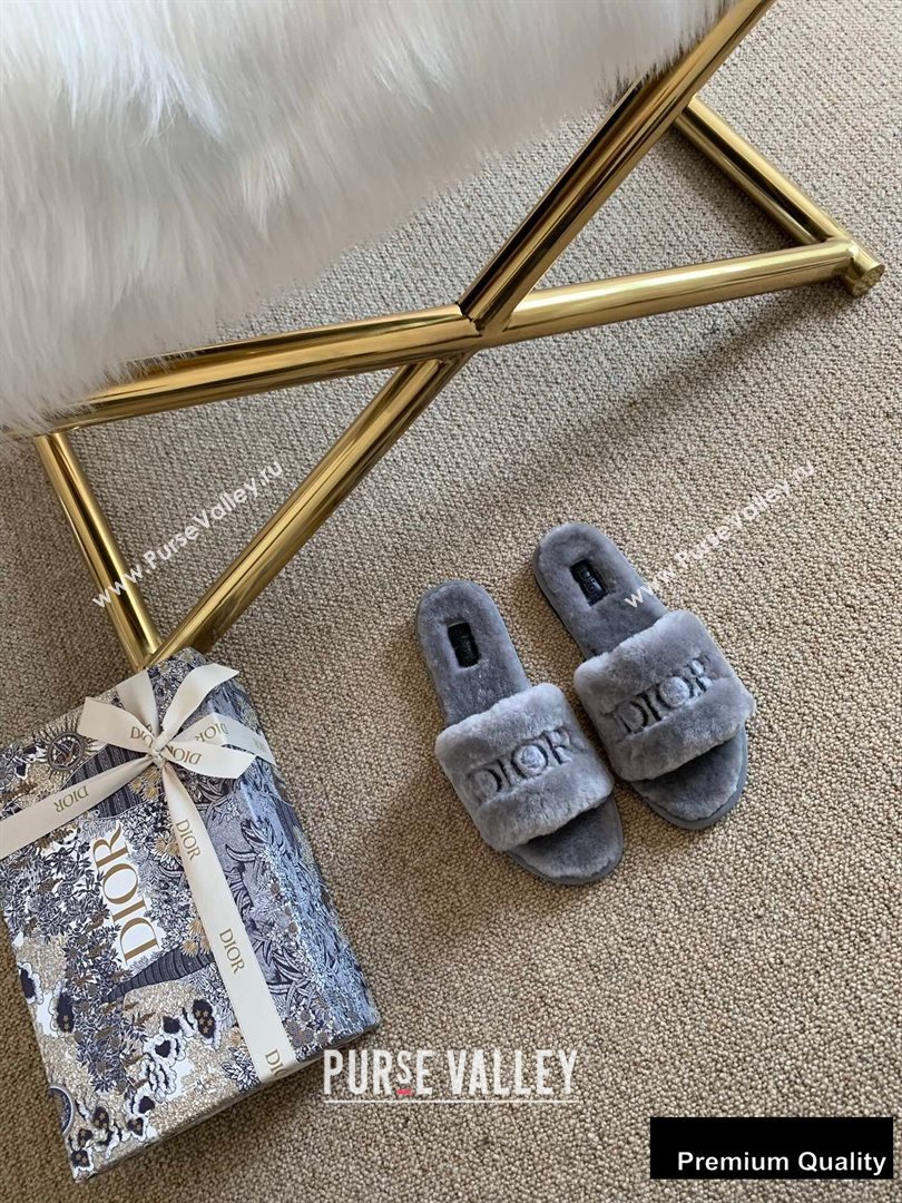 Dior Logo Shearling Slides Mules Gray 2020 (lirenfang-20082604)