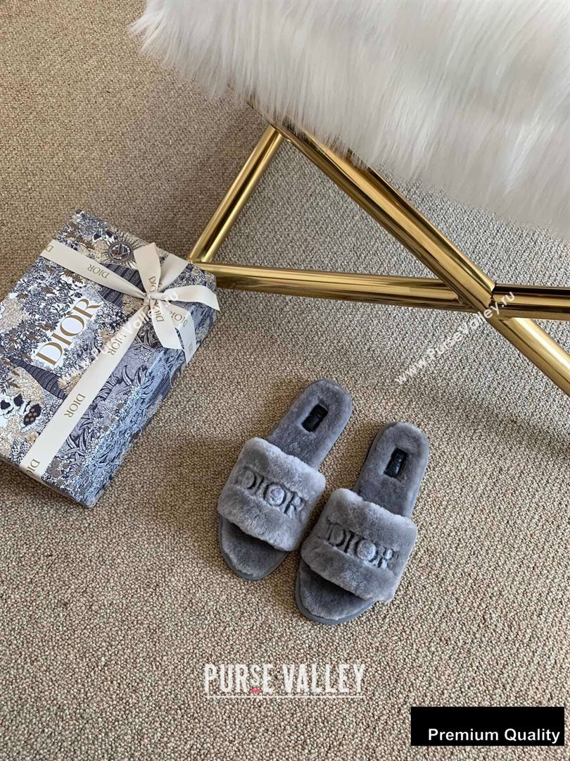 Dior Logo Shearling Slides Mules Gray 2020 (lirenfang-20082604)