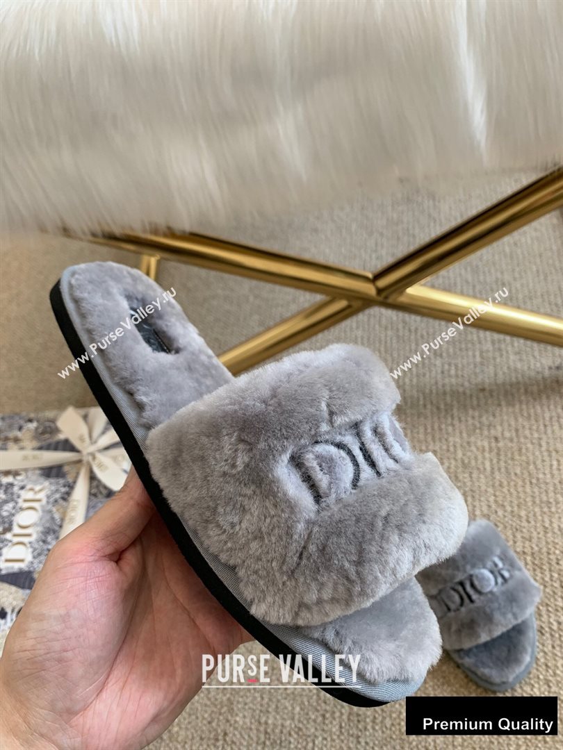 Dior Logo Shearling Slides Mules Gray 2020 (lirenfang-20082604)