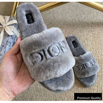 Dior Logo Shearling Slides Mules Gray 2020 (lirenfang-20082604)