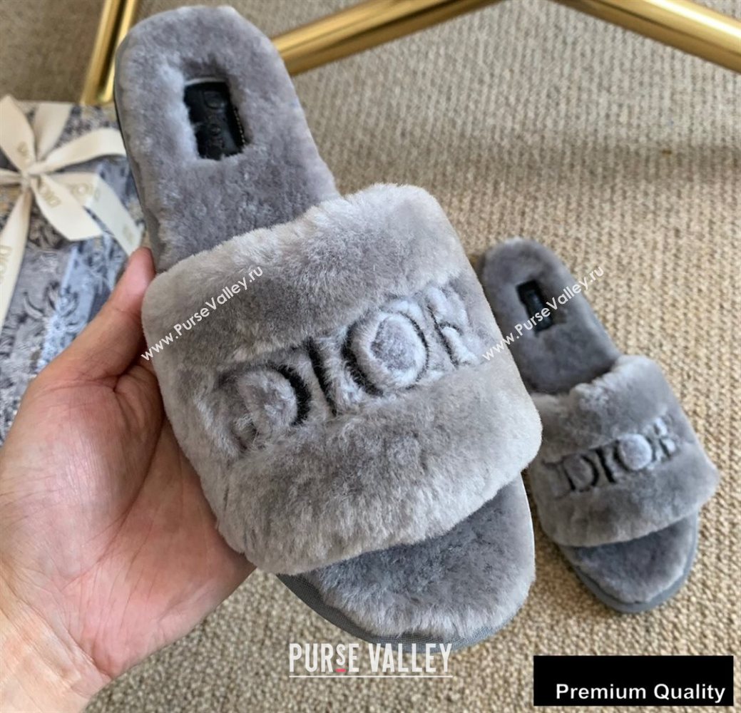 Dior Logo Shearling Slides Mules Gray 2020 (lirenfang-20082604)