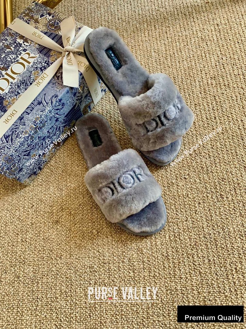 Dior Logo Shearling Slides Mules Gray 2020 (lirenfang-20082604)