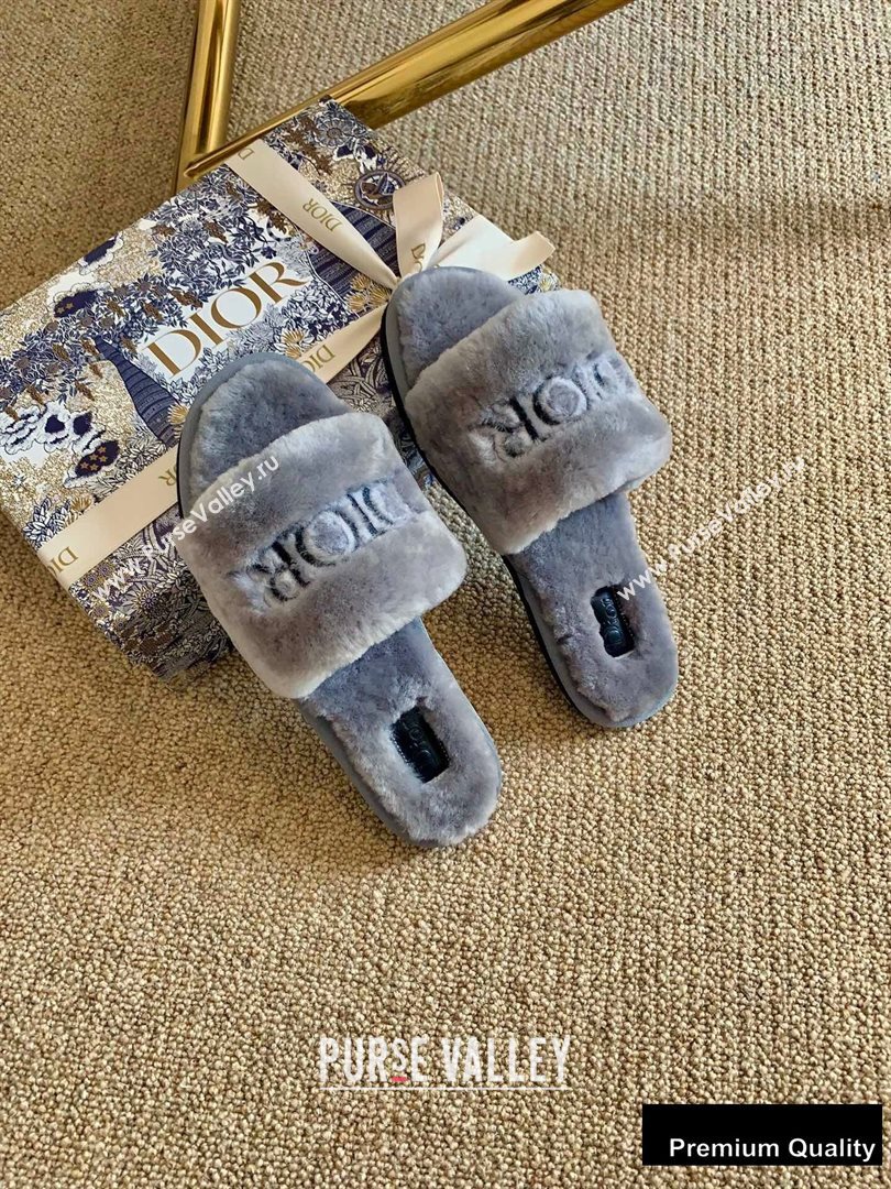 Dior Logo Shearling Slides Mules Gray 2020 (lirenfang-20082604)