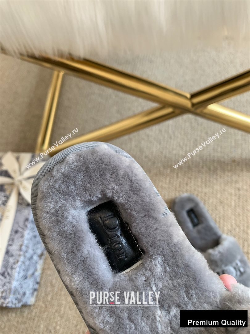 Dior Logo Shearling Slides Mules Gray 2020 (lirenfang-20082604)