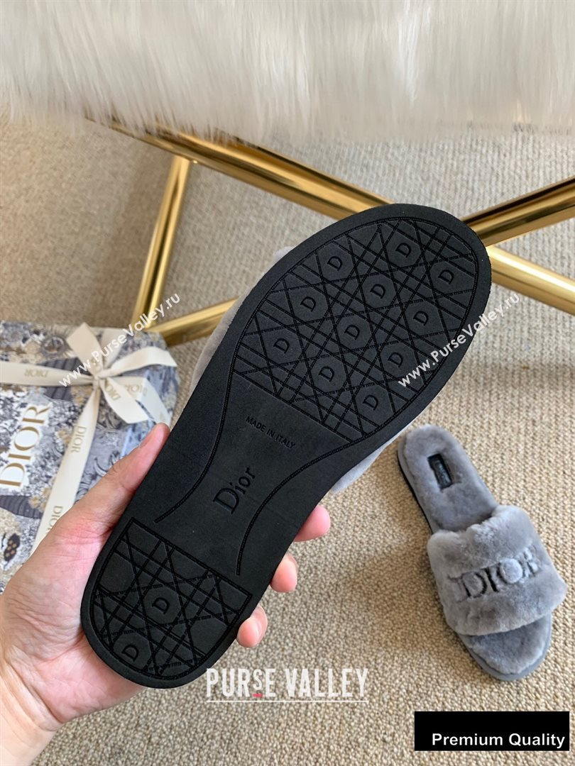 Dior Logo Shearling Slides Mules Gray 2020 (lirenfang-20082604)