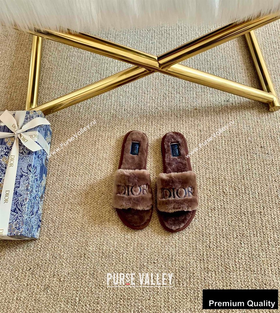 Dior Logo Shearling Slides Mules Coffee 2020 (lirenfang-20082603)