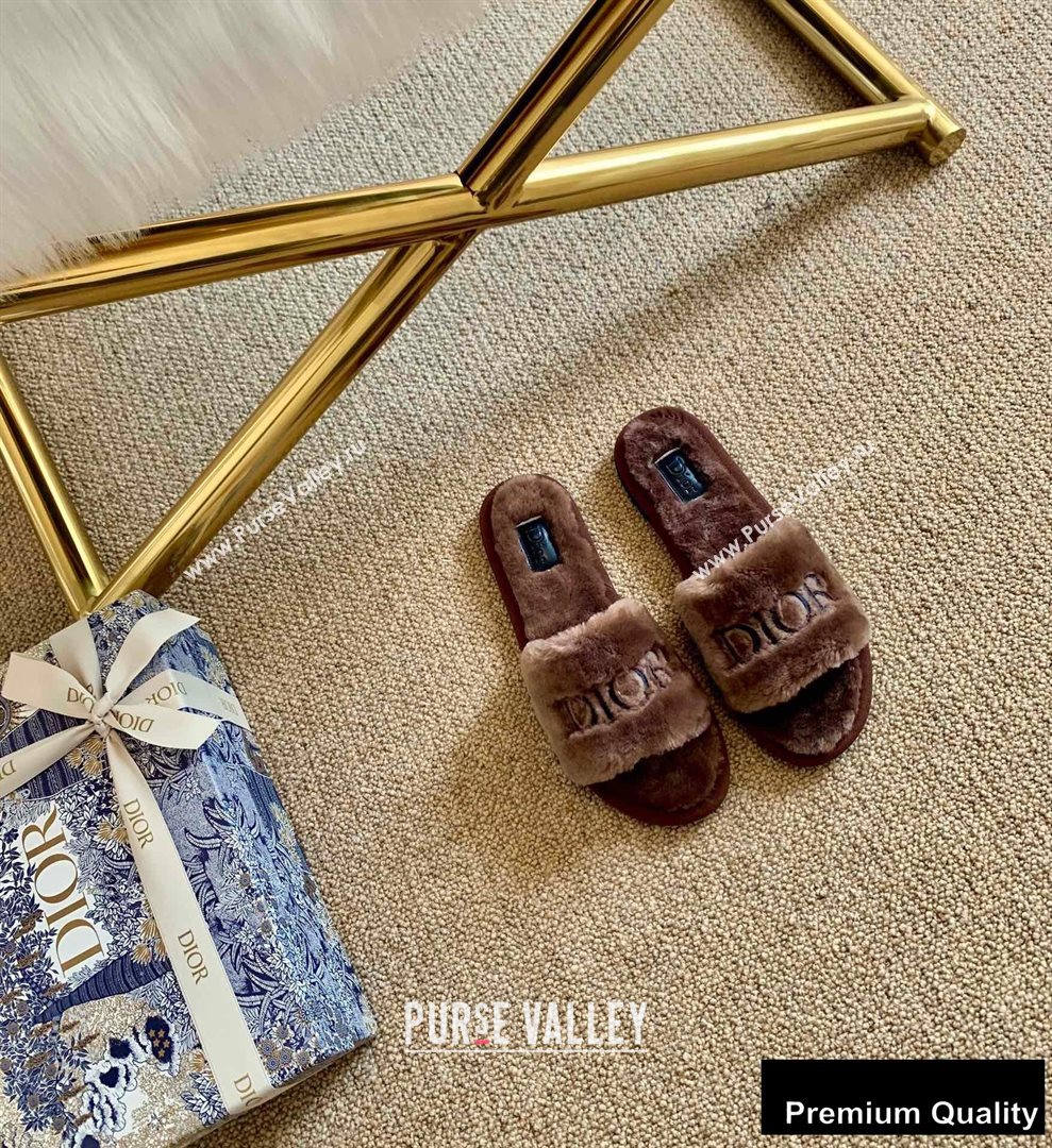 Dior Logo Shearling Slides Mules Coffee 2020 (lirenfang-20082603)