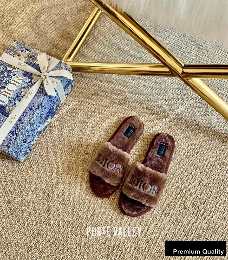 Dior Logo Shearling Slides Mules Coffee 2020 (lirenfang-20082603)