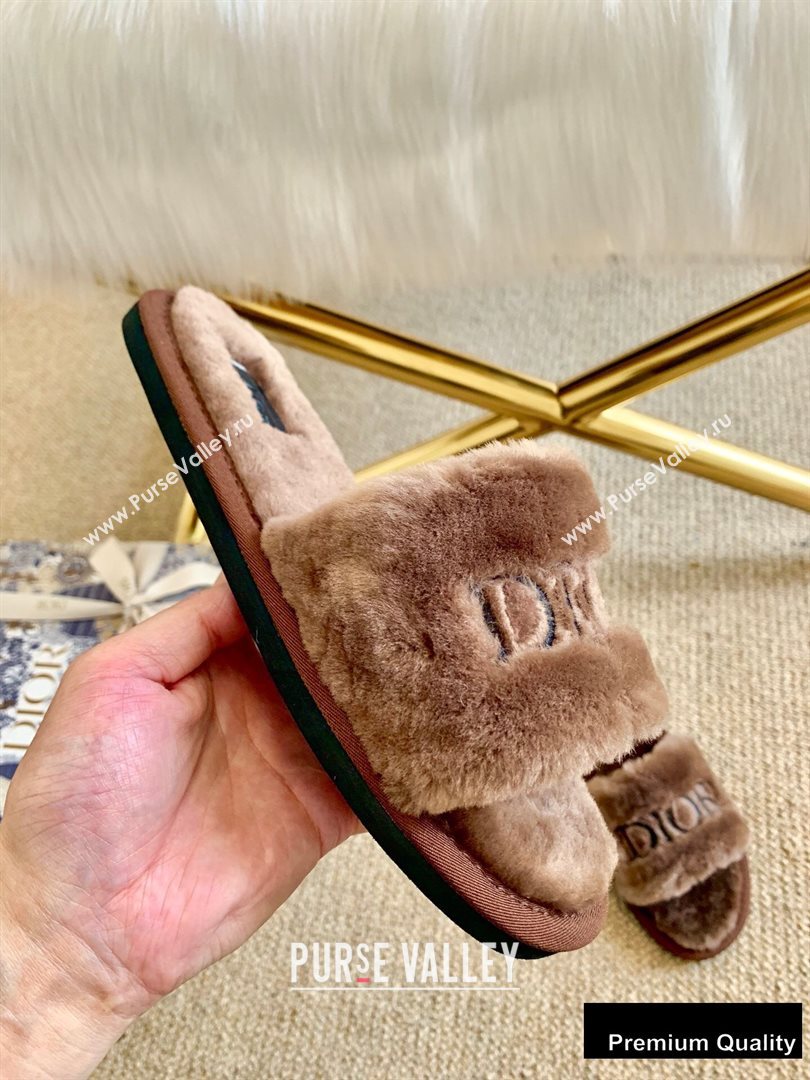 Dior Logo Shearling Slides Mules Coffee 2020 (lirenfang-20082603)