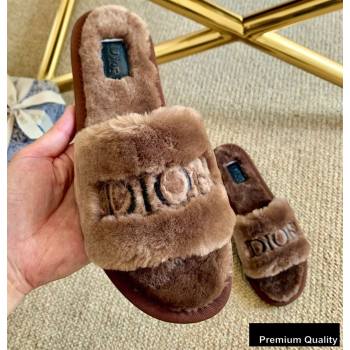 Dior Logo Shearling Slides Mules Coffee 2020 (lirenfang-20082603)