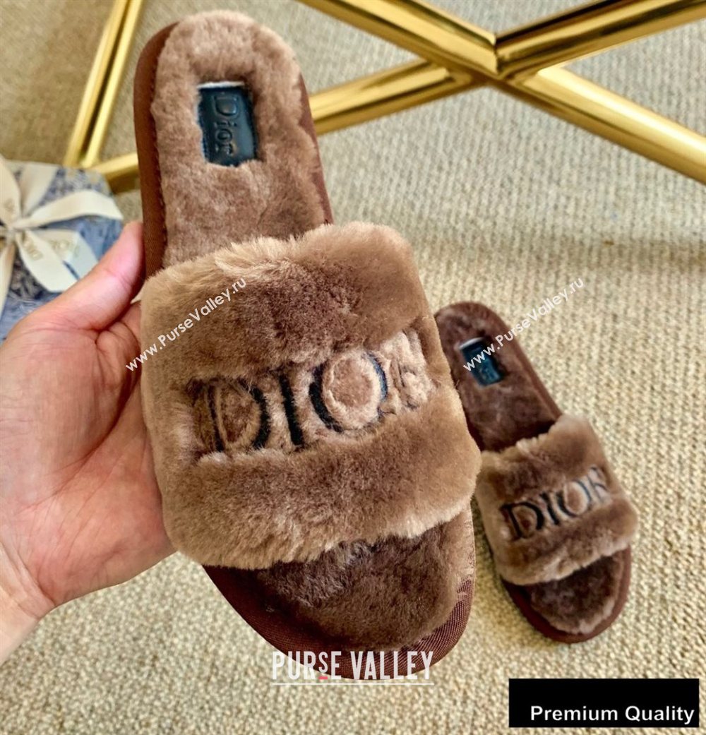 Dior Logo Shearling Slides Mules Coffee 2020 (lirenfang-20082603)