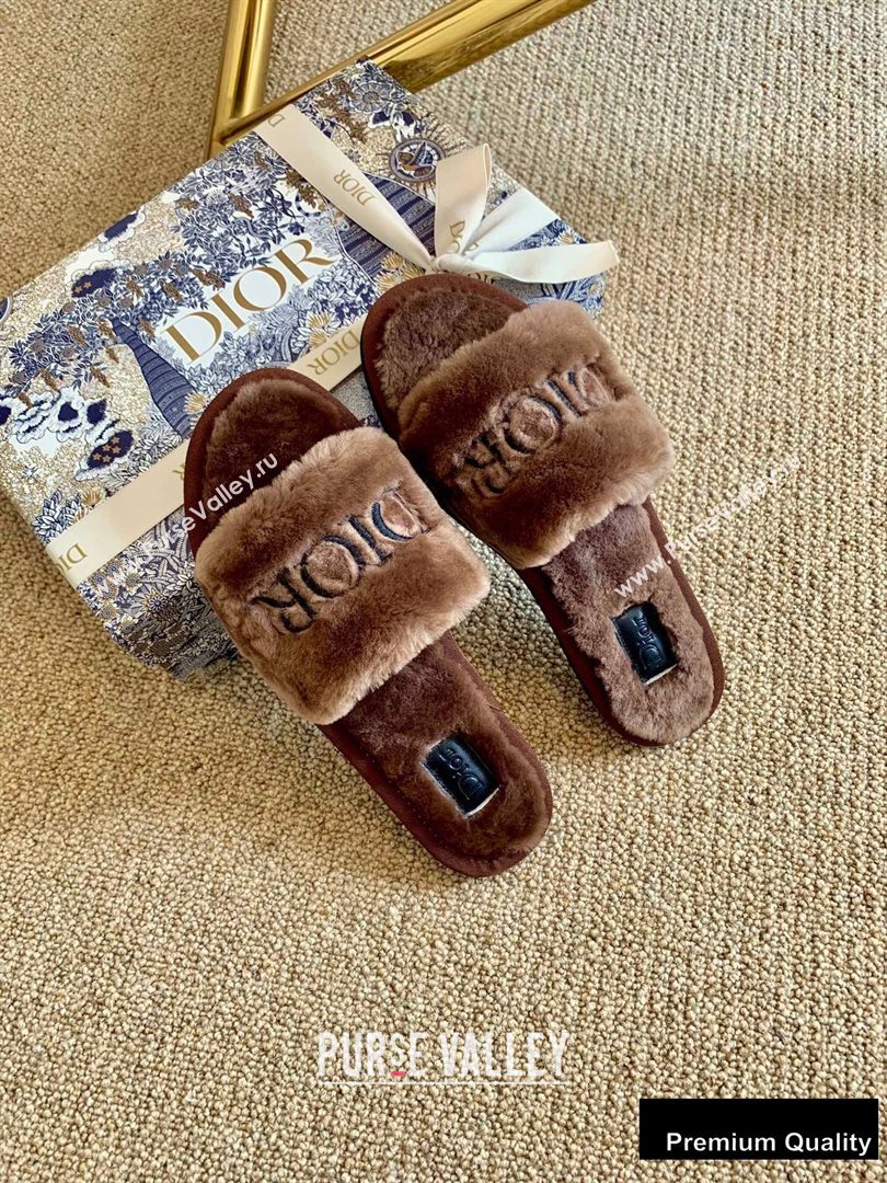Dior Logo Shearling Slides Mules Coffee 2020 (lirenfang-20082603)