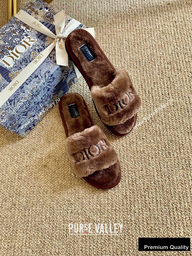 Dior Logo Shearling Slides Mules Coffee 2020 (lirenfang-20082603)
