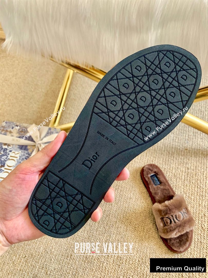 Dior Logo Shearling Slides Mules Coffee 2020 (lirenfang-20082603)