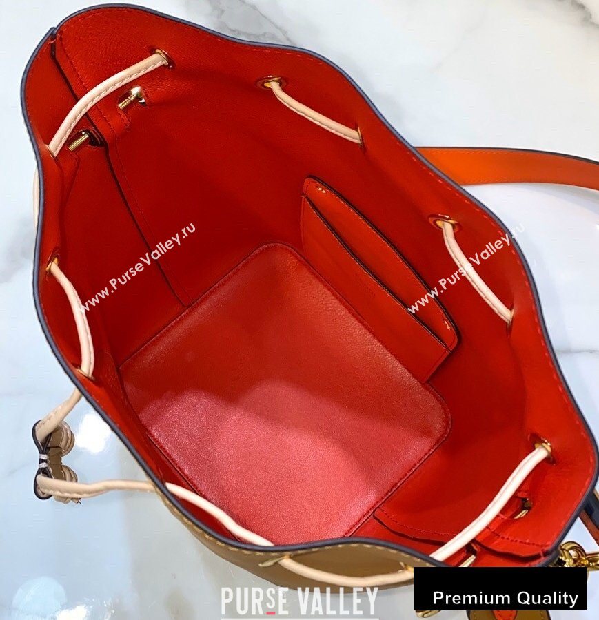 Fendi Leather Mon Tresor Small Bucket Bag Brown 2020 (chaoliu-20090140)