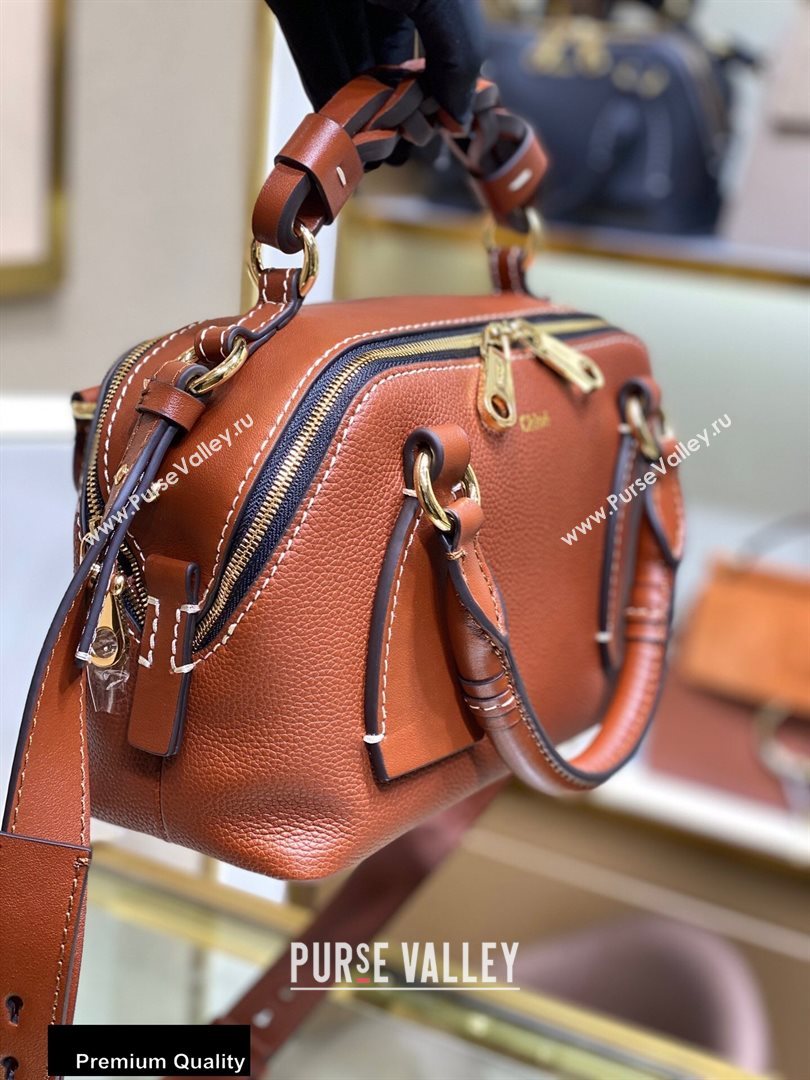 Chloe Small Daria Bag in Grained and Shiny Calfskin Brown (yaoyao-20090730)