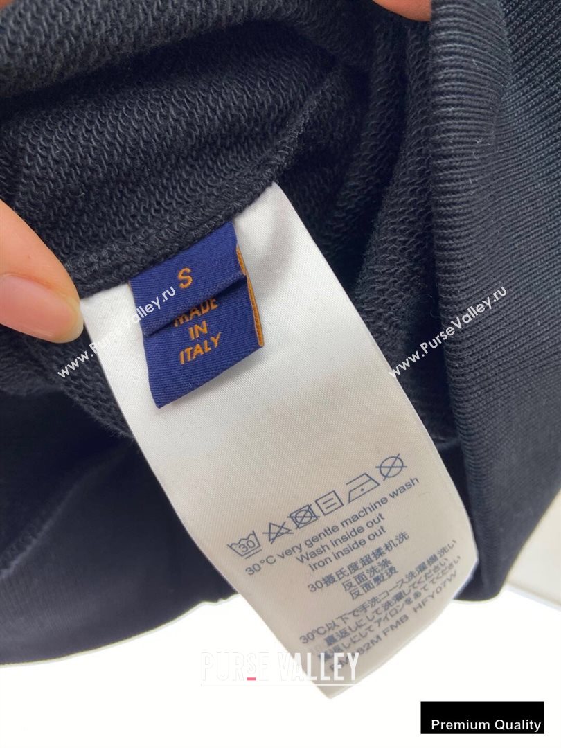 Louis Vuitton Sweatshirt LV04 2020 (fangfang-20091404)