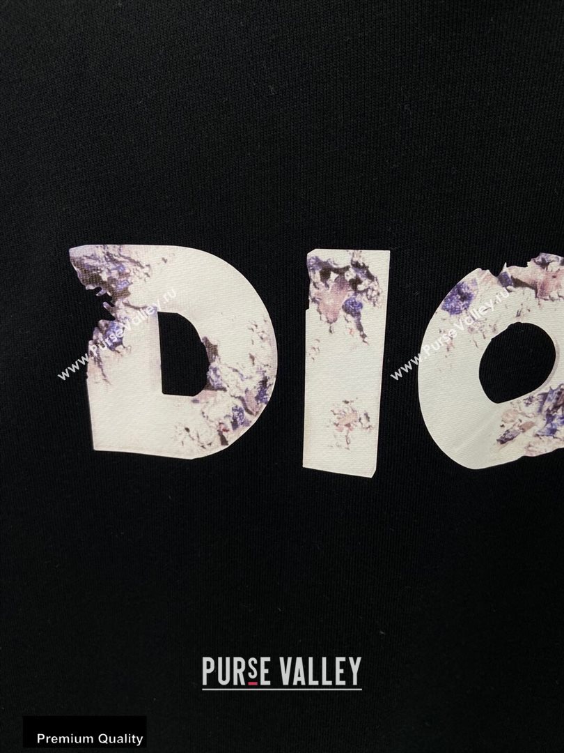 Dior Sweatshirt D19 2020 (fangfang-20091524)