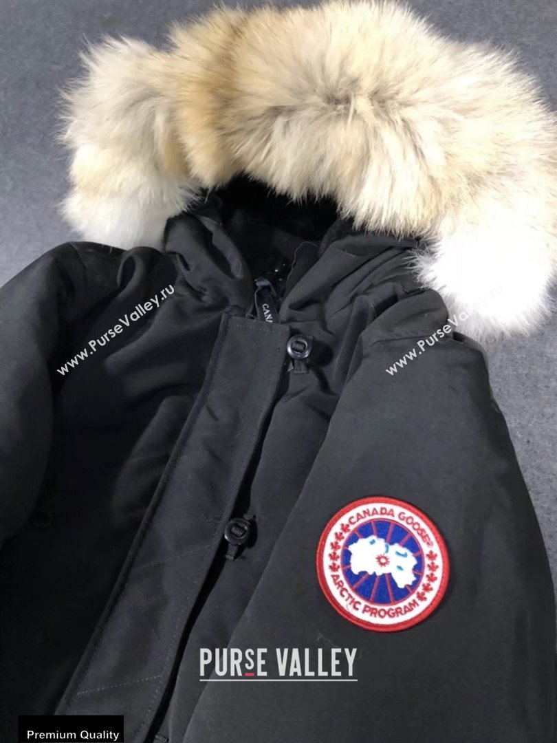 Canada Goose Womens Down Jacket 07 (yichao-20091618)