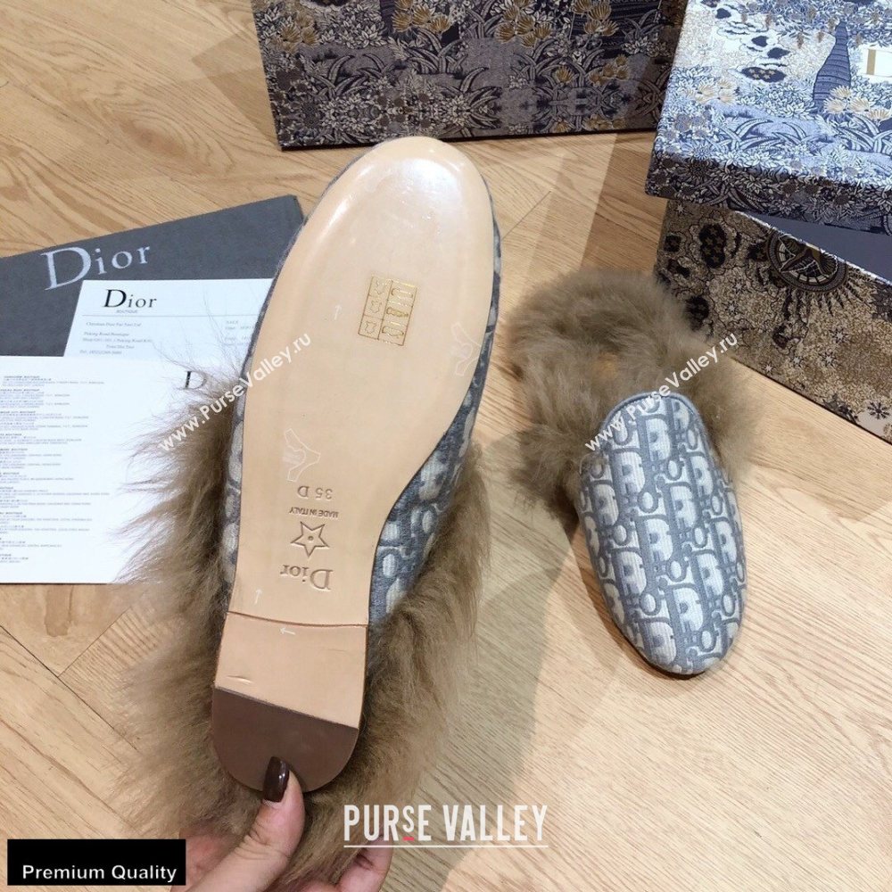 Dior Shearling Fur Slippers 07 2020 (modeng-20091907)