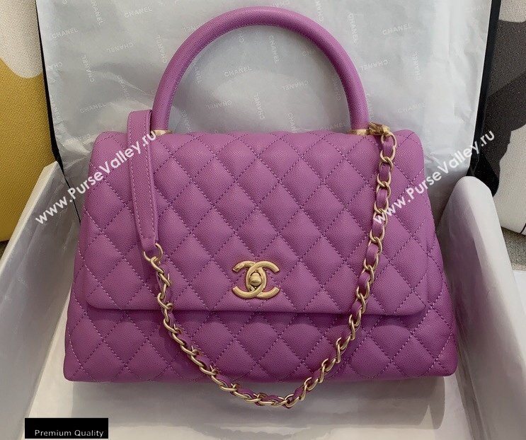 Chanel Coco Handle Medium Flap Bag Mauve with Top Handle A92991 Top Quality 7148 (smjd-20092504)