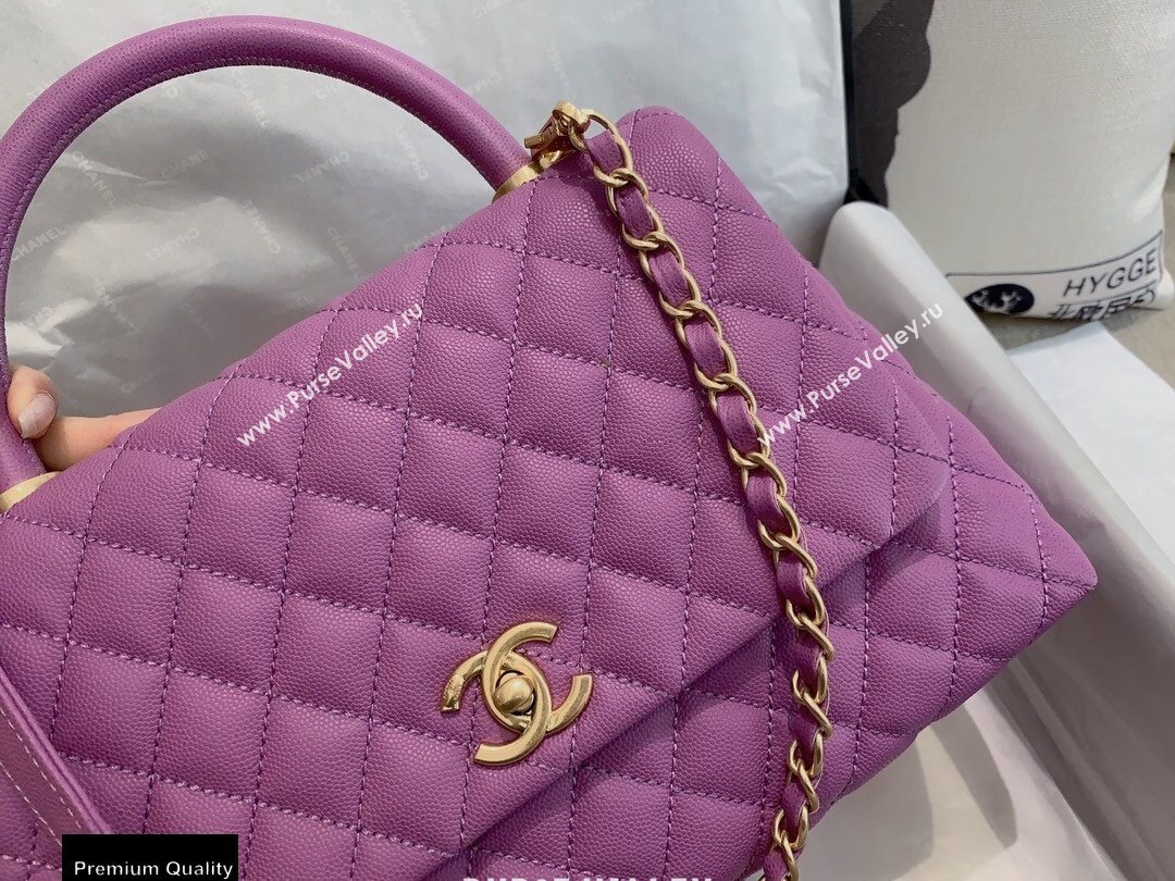 Chanel Coco Handle Medium Flap Bag Mauve with Top Handle A92991 Top Quality 7148 (smjd-20092504)