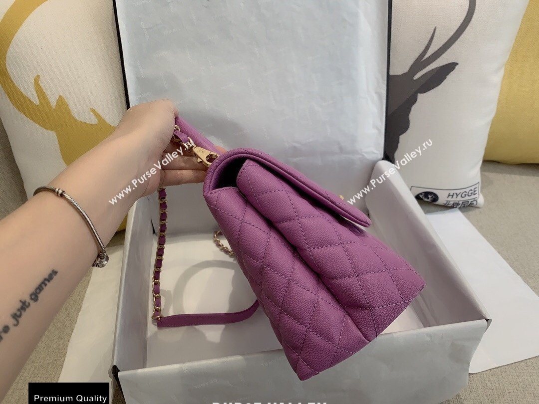 Chanel Coco Handle Medium Flap Bag Mauve with Top Handle A92991 Top Quality 7148 (smjd-20092504)