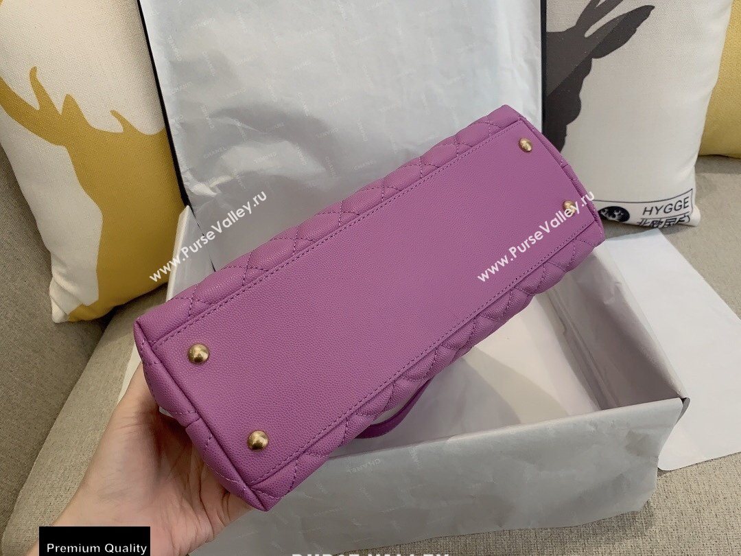 Chanel Coco Handle Medium Flap Bag Mauve with Top Handle A92991 Top Quality 7148 (smjd-20092504)