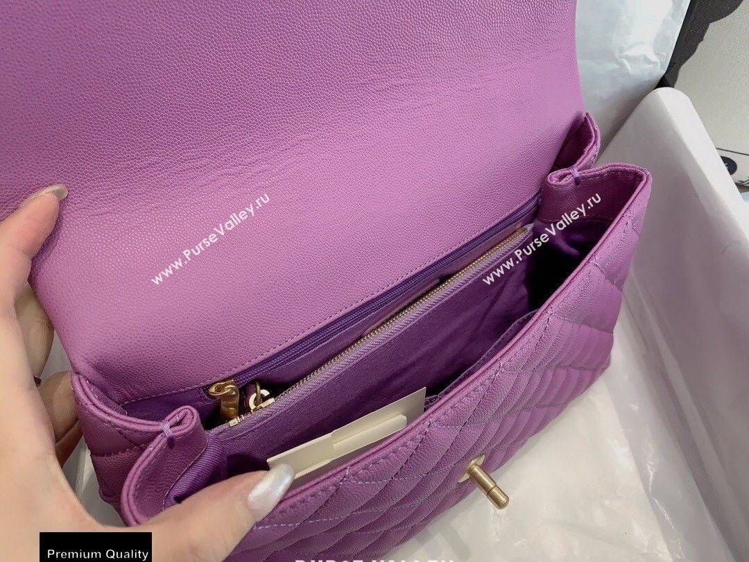 Chanel Coco Handle Medium Flap Bag Mauve with Top Handle A92991 Top Quality 7148 (smjd-20092504)