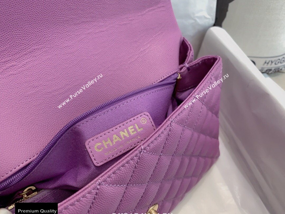 Chanel Coco Handle Medium Flap Bag Mauve with Top Handle A92991 Top Quality 7148 (smjd-20092504)