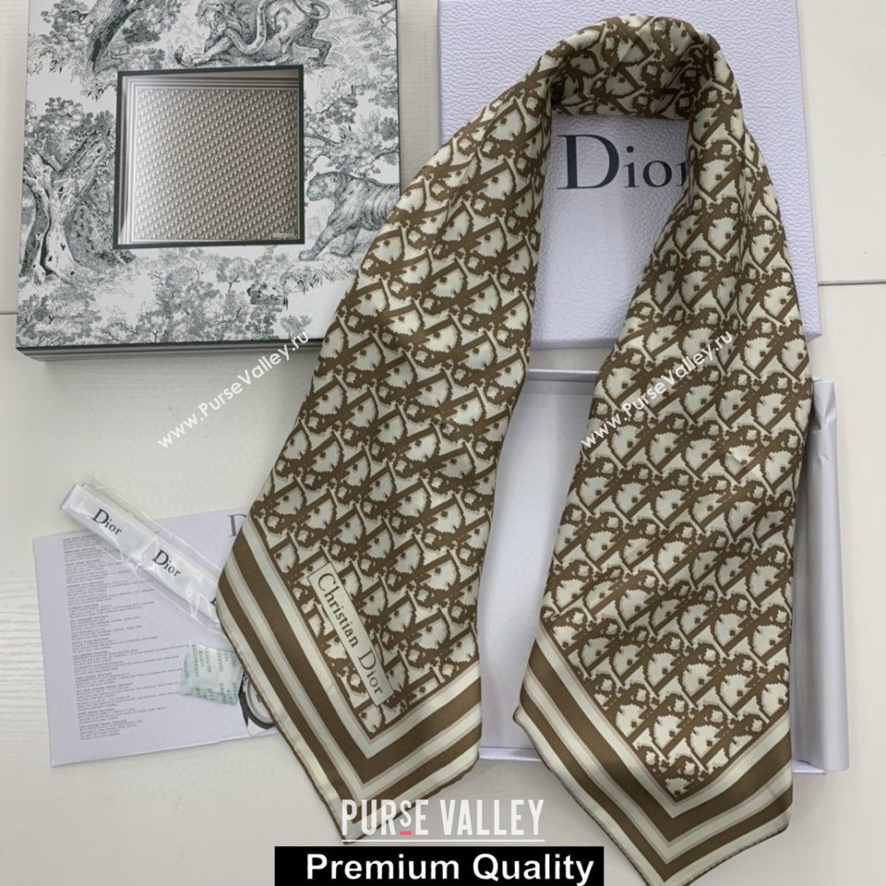 Dior Scarf 90x90cm 14 2020 (weinisi-200926710)