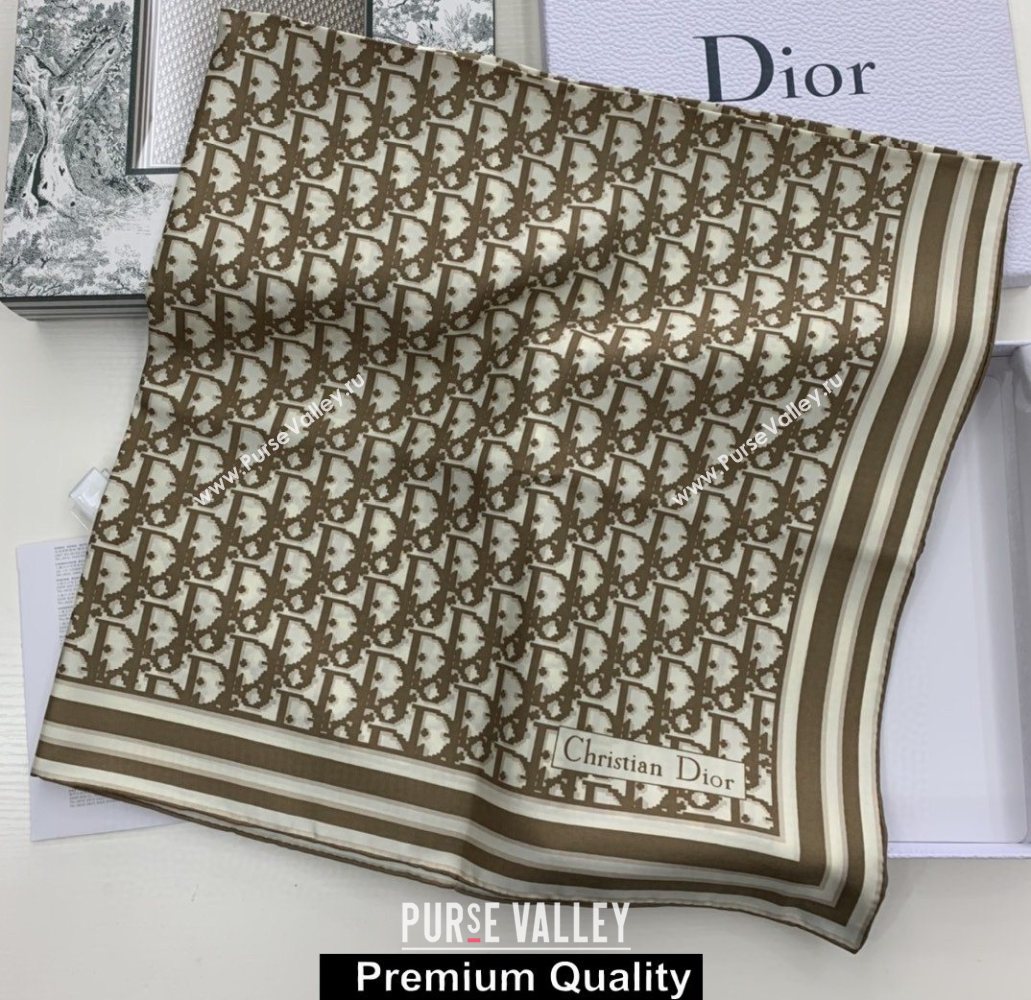 Dior Scarf 90x90cm 14 2020 (weinisi-200926710)