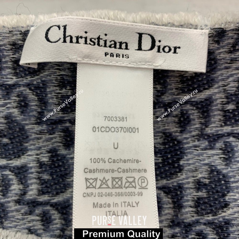 Dior Oblique Poncho 70x150cm 2020 (weinisi-200926718)