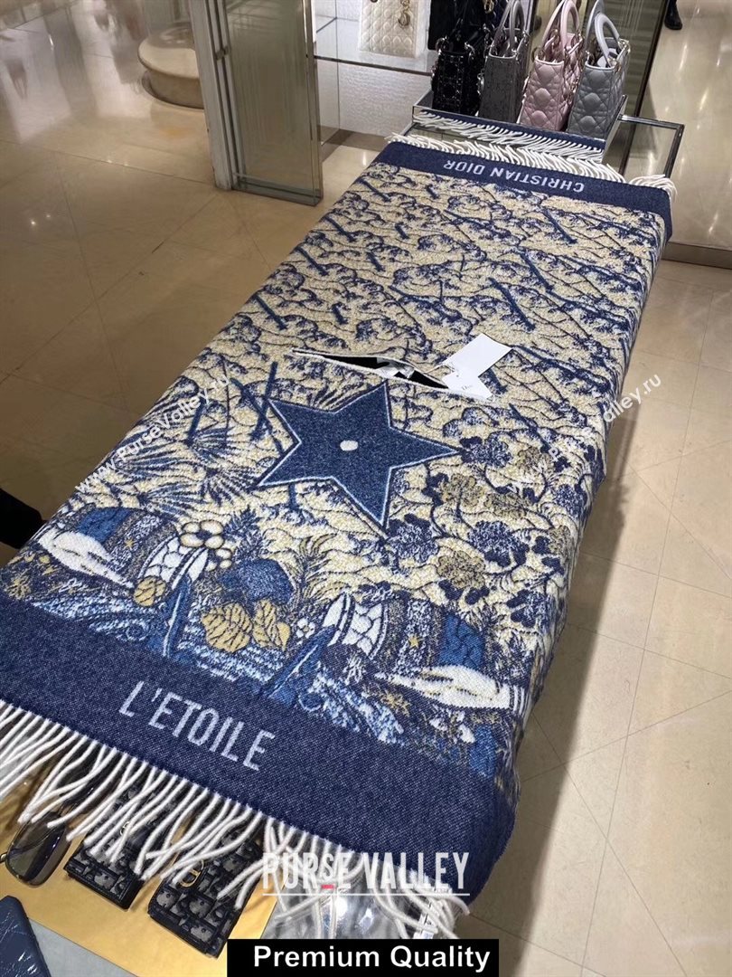 Dior Wax Tarot Letoile Poncho 70x150cm 2020 (weinisi-200926719)