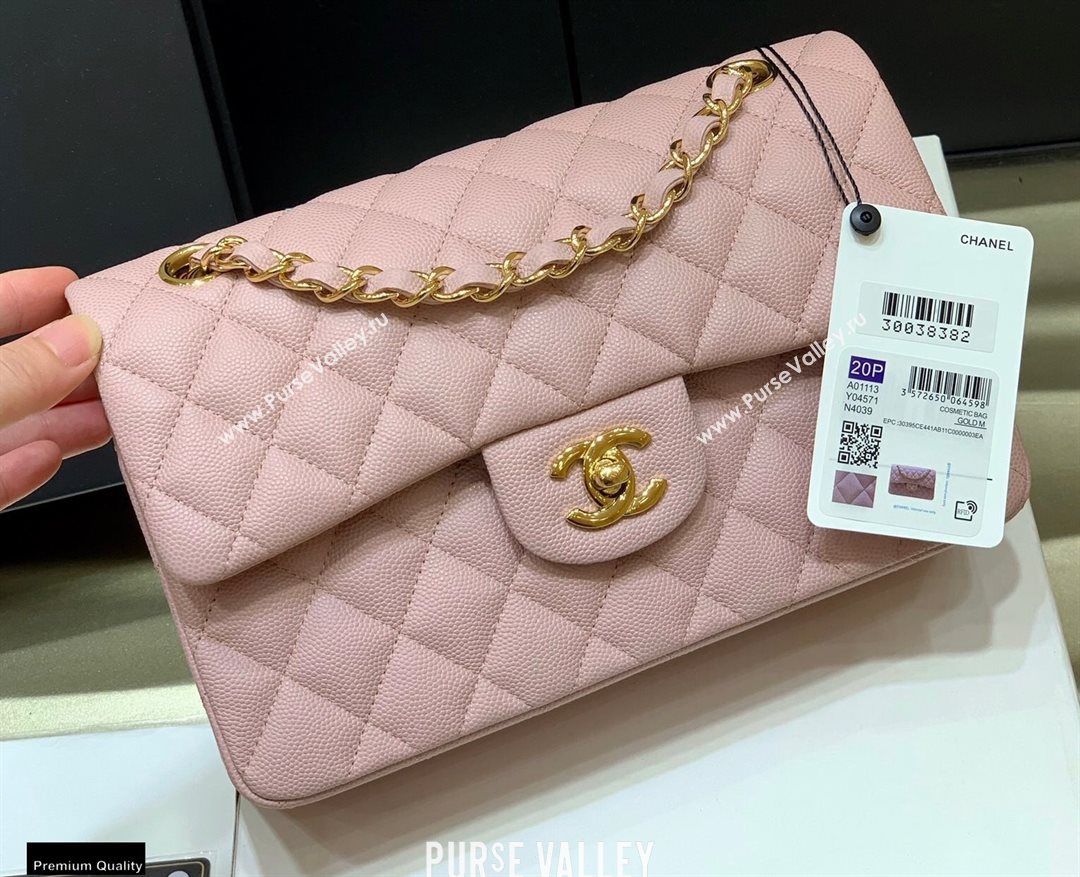 Chanel Original Quality Classic Flap Bag A01113 in Caviar Leather Light Pink with Gold Hardware (shunyang-20120922)