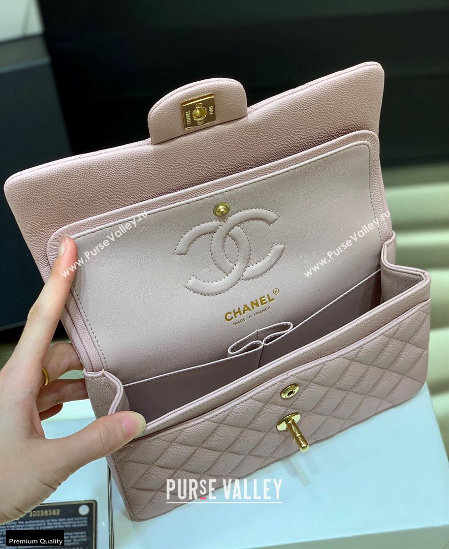 Chanel Original Quality Classic Flap Bag A01113 in Caviar Leather Light Pink with Gold Hardware (shunyang-20120922)